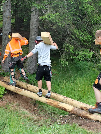 Drei Lehrlinge tragen Holzbalken über einen provisorischen Holzsteg im Wald. Zwei von ihnen tragen Schutzkleidung in Orange, die dritte Person ist in einem grauen Shirt und kurzer Hose gekleidet. Der Pfad führt über unebenes Gelände, umgeben von dichtem Grün und hohen Tannen. Im Hintergrund sind Werkzeugkisten und Ausrüstungen für Waldarbeiten zu erkennen.